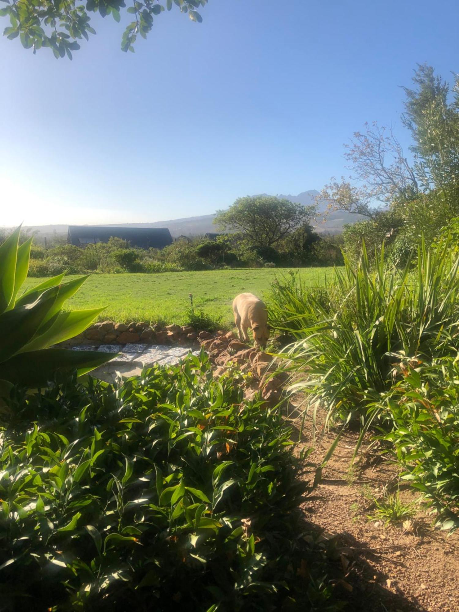 Watermill Studios Gordons Bay Exterior photo